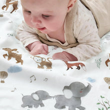 Load image into Gallery viewer, Baby Blankets for Unisex Boys Girls, Super Soft Nursery Minky Blankets with Woodland Animal Design and Dotted Fleece Backing, Printed Bed Throws Newborn Toddler Gift 30 x 40 Inch