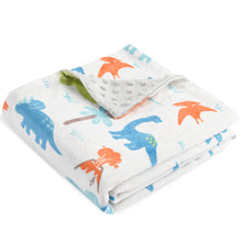 Load image into Gallery viewer, Baby Blanket for Kids Super Soft Minky Blanket with Dinosaurs Multicolor Printed 30 x 40 inch(75x100cm)