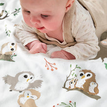Load image into Gallery viewer, Baby Blankets for Unisex Boys Girls, Ultra Soft Nursery Minky Blankets with Owl Family Design and Dotted Fleece Backing, Cozy Bed Throws for Newborn Toddler Gift 30 x 40 Inch
