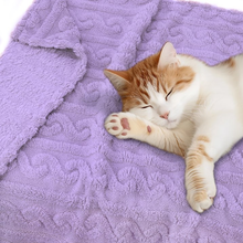 Load image into Gallery viewer, Baby Blanket for Girls Toddlers 3D Fleece Fluffy Fuzzy Blanket for Baby, Soft Warm Cozy Fleece Blanket, Infant or Newborn Receiving Blanket (30x40inch, Purple)
